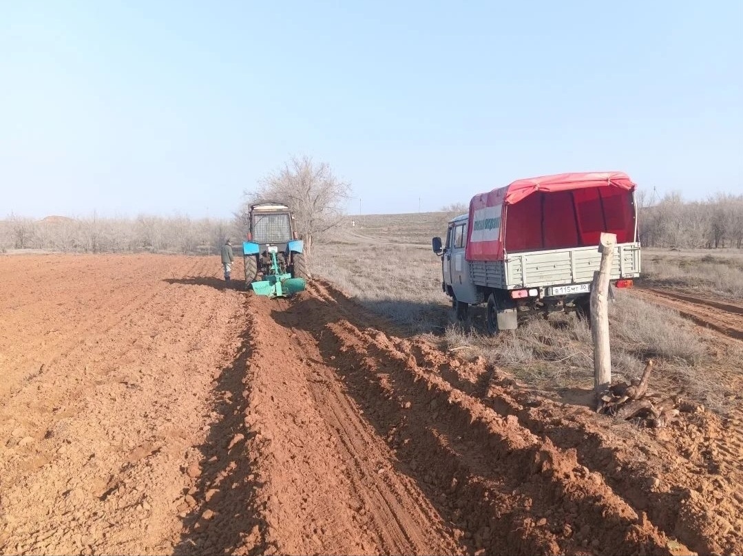 В Астраханской области начали высаживать леса и большой сад