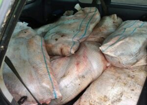 С неба упали: на дороге под Астраханью мужчина нашел мешки с рыбой