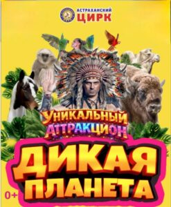 Грандиозные гастроли в Астраханском цирке до 5 апреля: скидка за подписку на соцсети