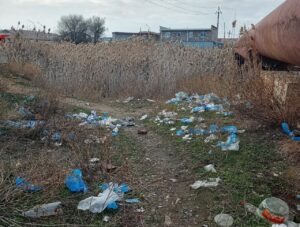 В Астрахани берег многострадального ерика оказался усыпан медицинскими изделиями