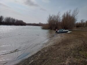 В Астраханской области временно запретили вылов одного из видов, обитающего в воде