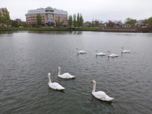 Погода в Астрахани изменится, не всем понравится ее настроение