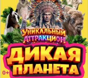 Грандиозные гастроли в Астраханском цирке до 5 апреля: как получить скидку
