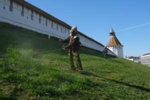 В Астрахани на откосах кремля обрежут растительность