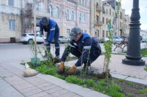 Одни из самых посещаемых мест Астрахани делают красивее и зеленее
