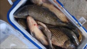 В Астраханской области называют самые лучшие места для рыбалки: клюет, так клюет