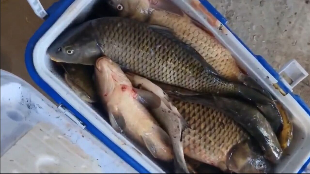 В Астраханской области называют самые лучшие места для рыбалки: клюет, так клюет