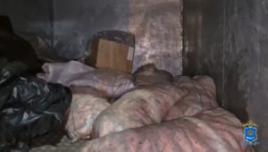 Мешки с живым «кладом» лежали под Астраханью и ждали кого-нибудь: рассказ водителя