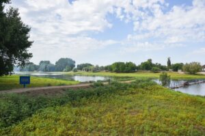 Туристов предлагают заманивать в Астраханскую область пирогами с костями