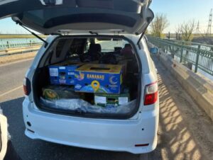 Под Астраханью из коробок выпустили усатых заложников, они медленно уползали