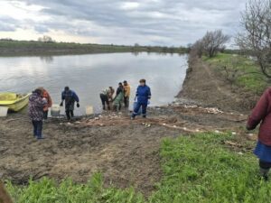 Эксперимент: в Астраханской области вырастили упитанных рыб и отправили их в путешествие