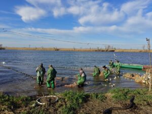 Какую рыбу больше всего ловят в Астраханской области: ее много