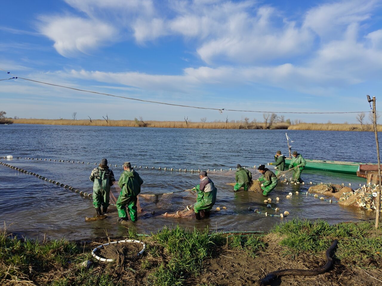 Какую рыбу больше всего ловят в Астраханской области: ее много