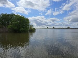 «Астрводоканал» должен будет заплатить более 33,1 млн рублей за загрязнение реки Прямая Болда