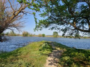 В Астраханскую область сократят сбросы воды