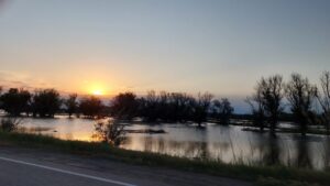 Рыбе помогут: Астраханской области дадут еще воды