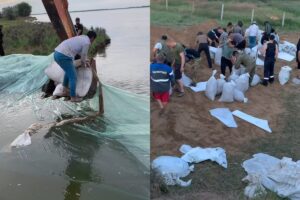Фермеры и рабочие с полей спасли астраханское село от затопления паводковыми водами