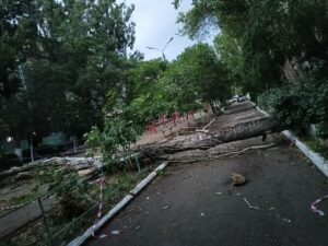 Коммунальные службы Астрахани устраняют последствия шквалистого ветра