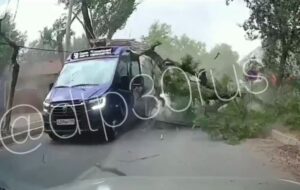 На видео попало падение большого дерева на маршрутку с пассажирами в Астрахани