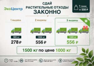 Акция «ЭкоЦентра» по приёму растительных и строительных отходов: 1+1+1=2