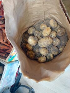 В Астрахани начали продавать первый местный картофель: сколько он стоит