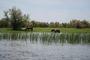 Бились за каждый кубометр воды: в Астраханской области завершается половодье