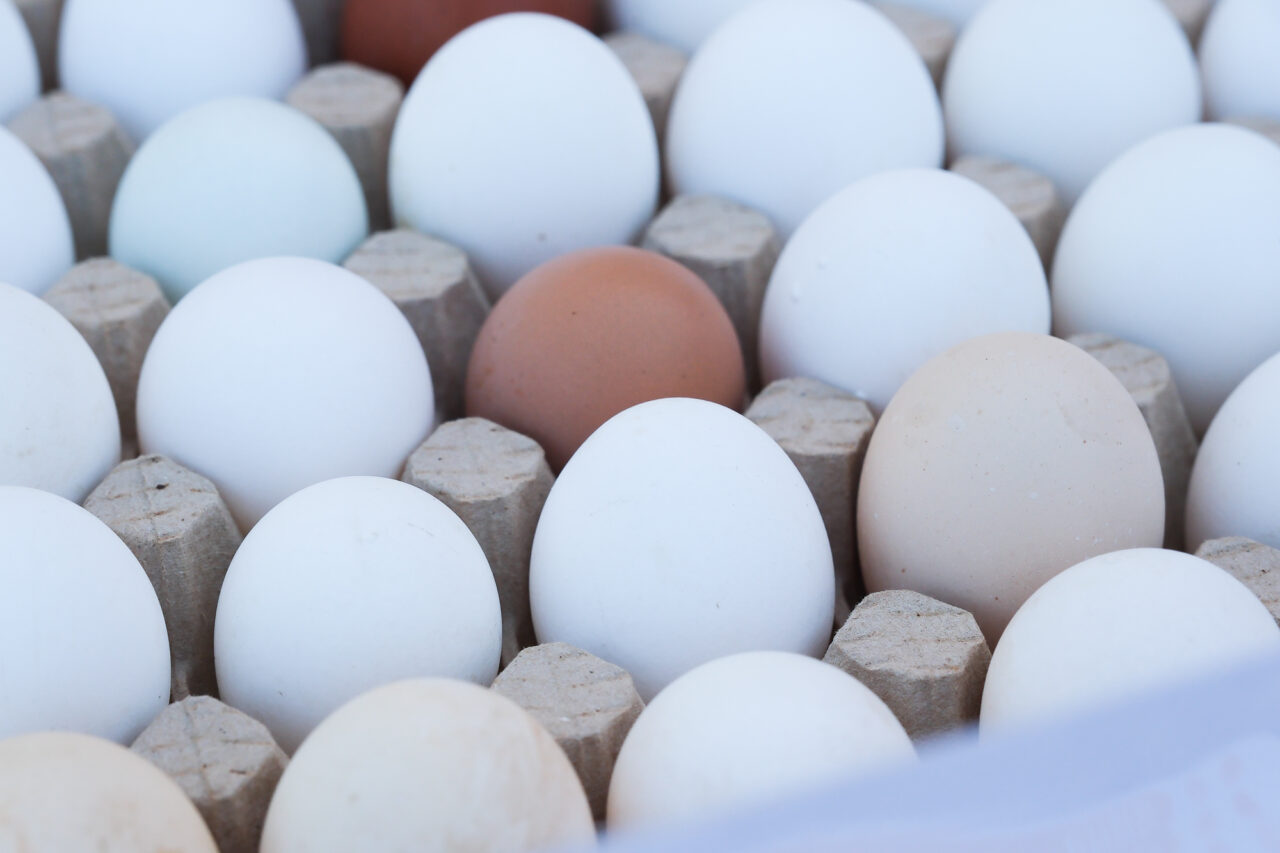 В Астраханской области резко подешевели продукты