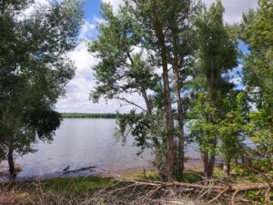 В Астраханской области выпустили огромное количество рыбы, которую запрещено ловить