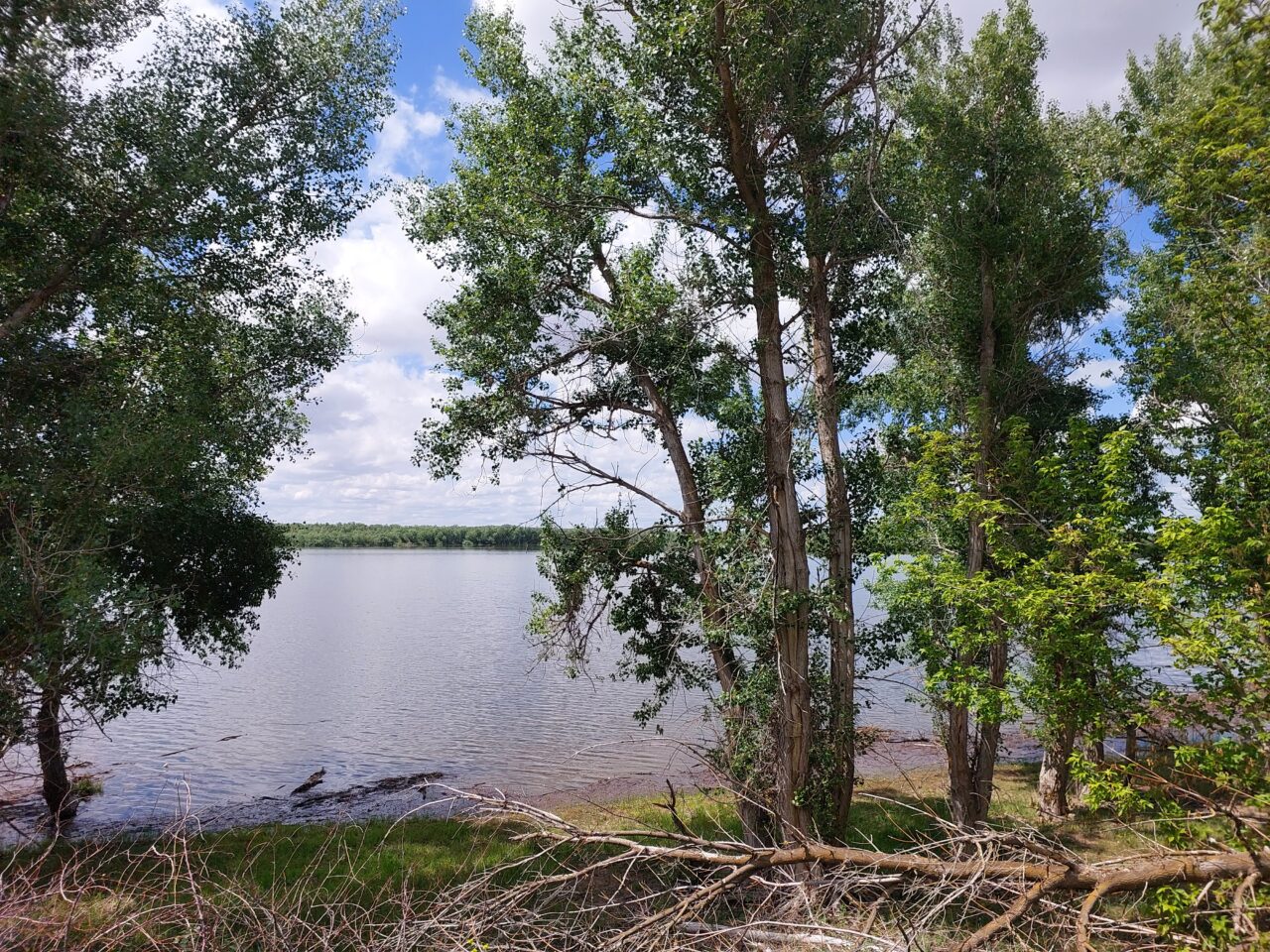 В Астраханской области выпустили огромное количество рыбы, которую запрещено ловить