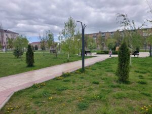 В Астрахани в парке рядом с отдыхающими поселились огромные редкие жуки