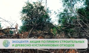 Видеоинструкция: льготная акция «ЭкоЦентр» по приёму строительных и древесно-кустарниковых отходов