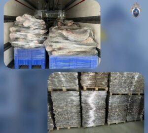 Под Астраханью перерабатывали рыбу сомнительного происхождения и потом продавали людям
