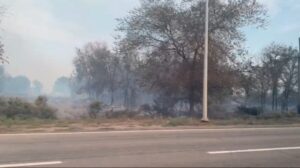 Все вокруг в дыму: под Астраханью тушат крупный пожар, проезд  автомобилей регулируют