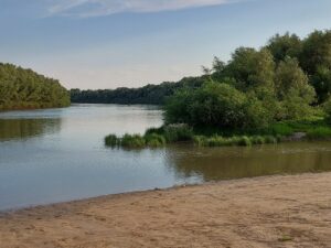 Под Астраханью мужчина пошел купаться и не вернулся, его тело случайно нашли сельчане