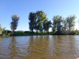 В Астраханской области москвич зашел по пояс в воду, и больше его никто не видел