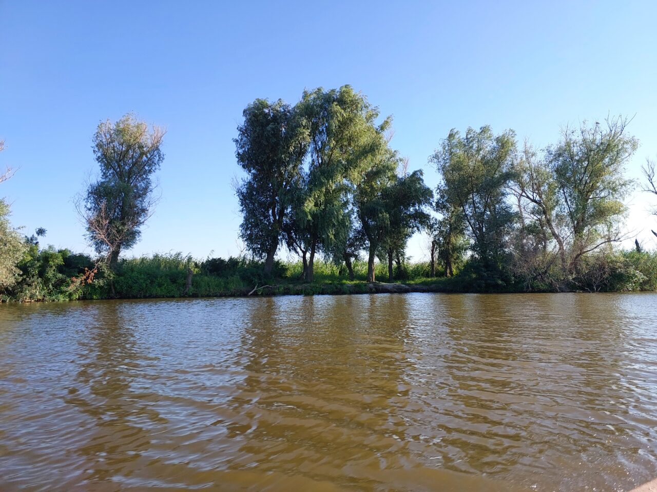 В Астраханской области москвич зашел по пояс в воду, и больше его никто не видел