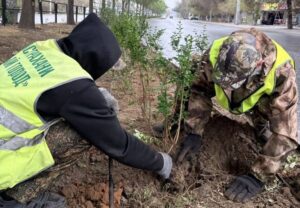 Какие общественные пространства озеленят этой осенью в Астрахани