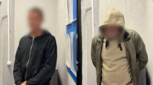 В Астрахани задержали двух мужчин по подозрению в убийстве уличного кота